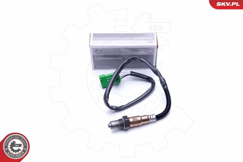 Oxygen Sensor